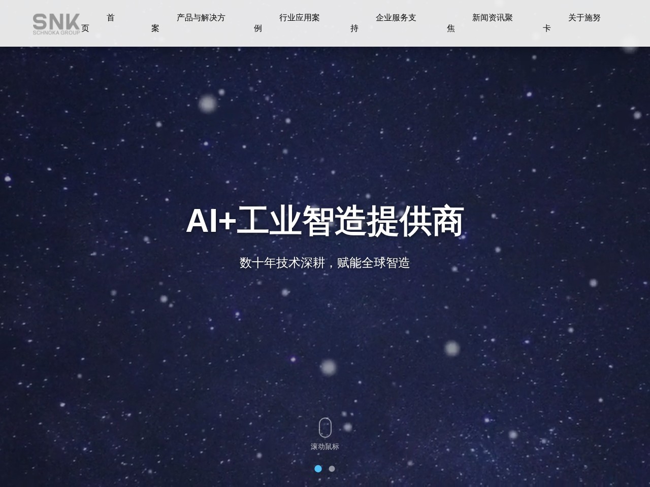 施努卡CCD视觉检测